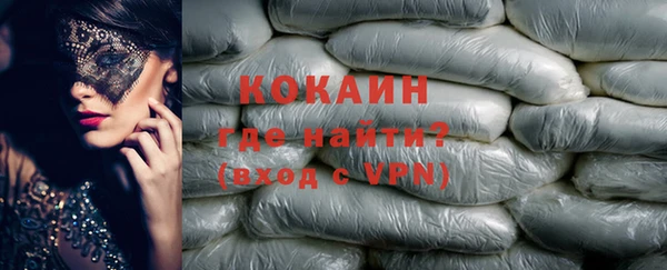 СК Алексин