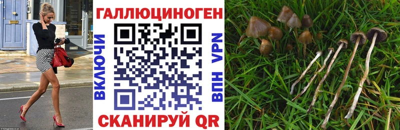 наркотики  omg как зайти  Галлюциногенные грибы ЛСД  Зуевка 